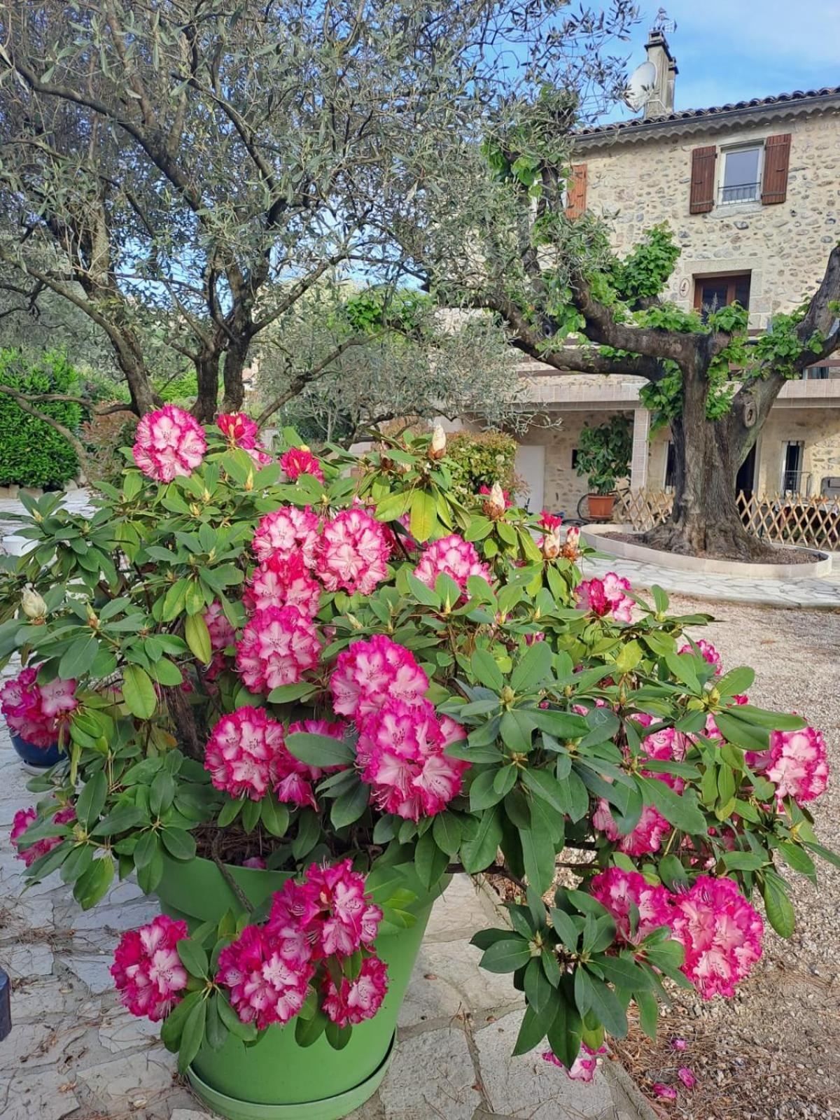 Gite 3 "Le Canal De Baza" Aux Magnolias Обена Экстерьер фото