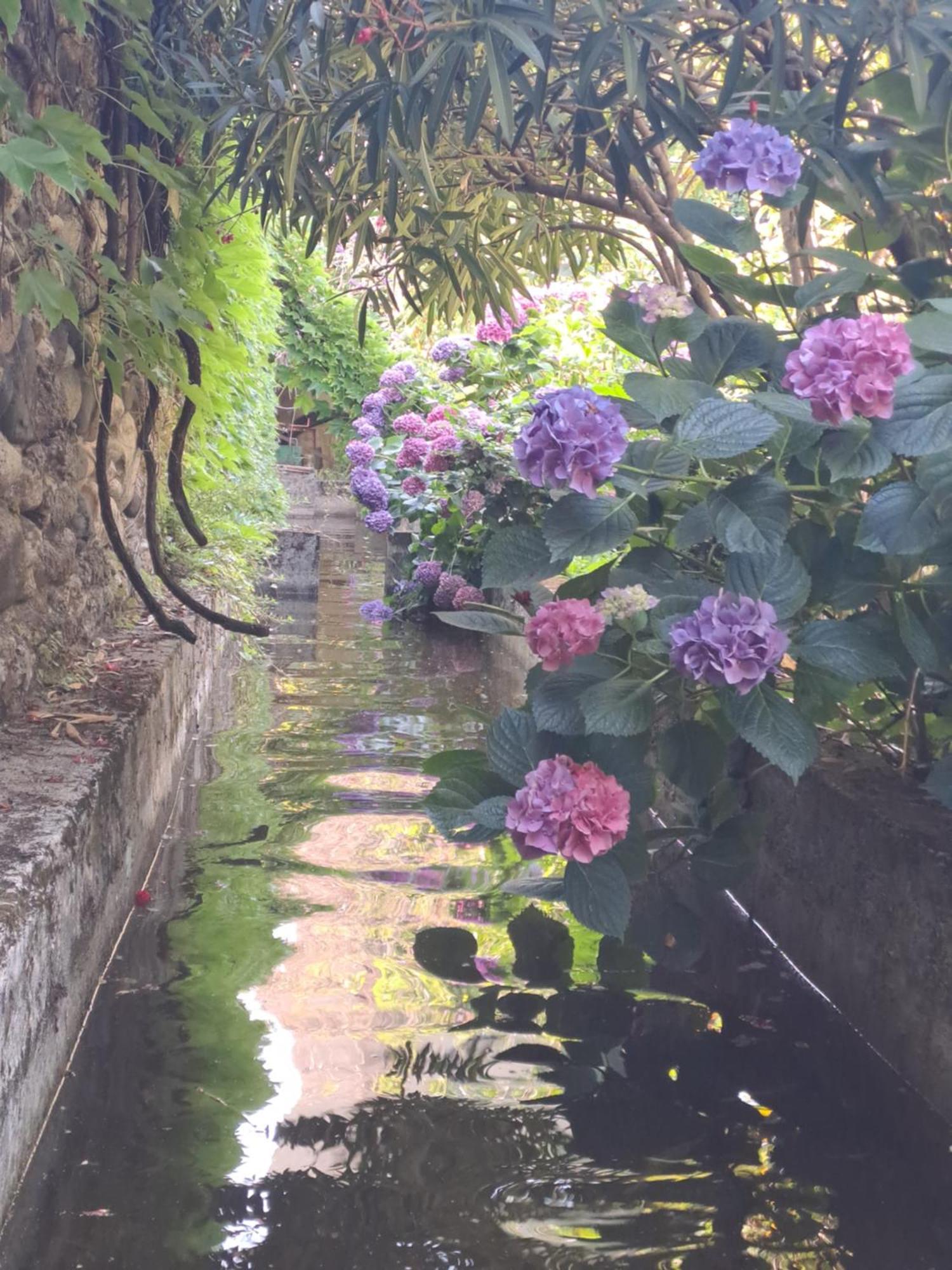 Gite 3 "Le Canal De Baza" Aux Magnolias Обена Экстерьер фото