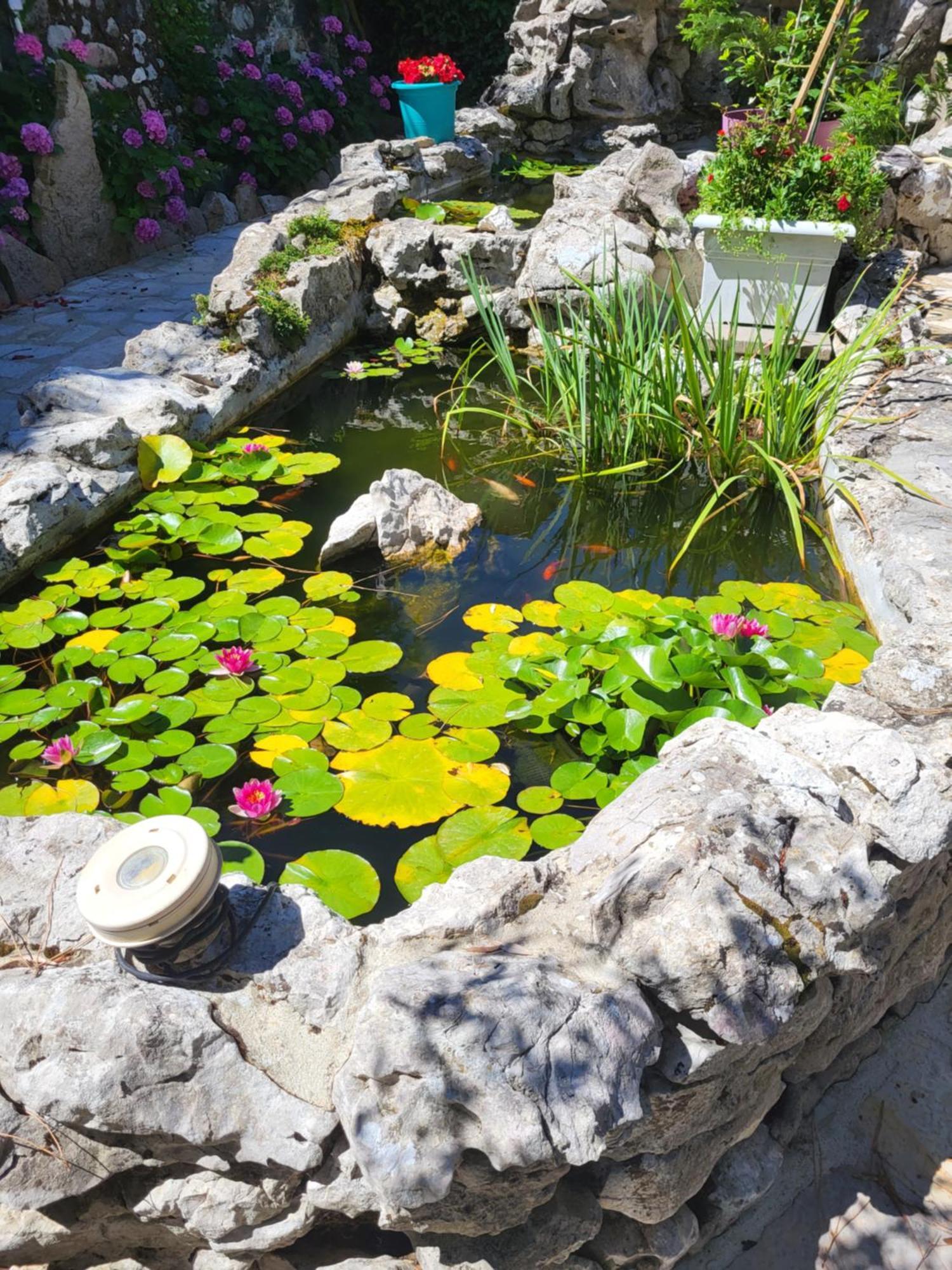Gite 3 "Le Canal De Baza" Aux Magnolias Обена Экстерьер фото